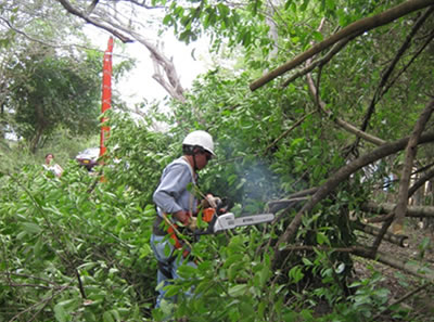 redeselectricas4 mantenimiento preventivo redes electricas